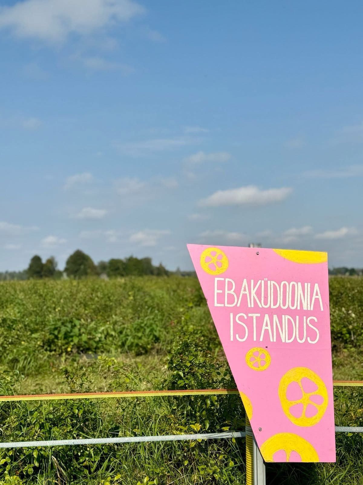 Ebaküdoonia seemned on uus looduslik alternatiiv toidulisanditele.